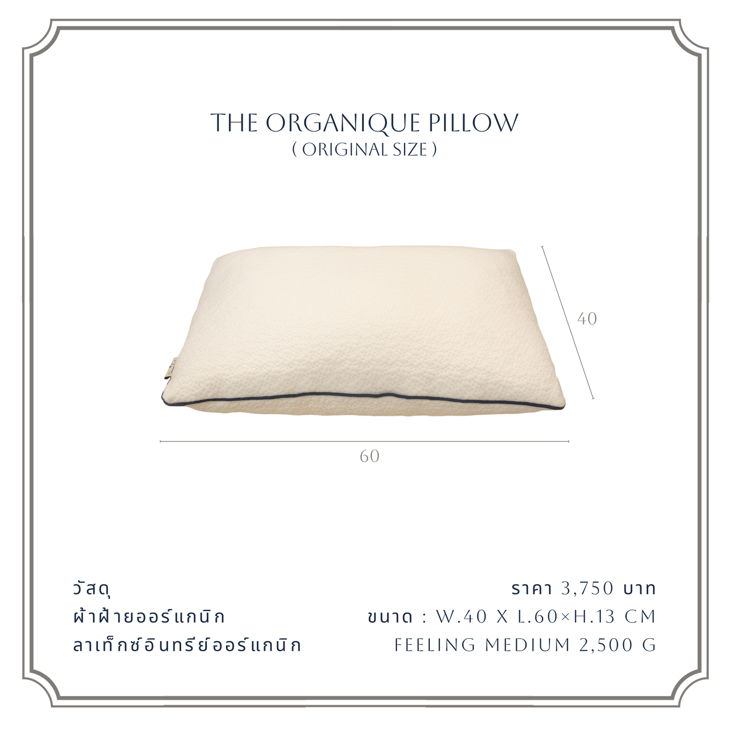 THE ORGANIQUE PILLOW
(ORIGINAL SIZE )