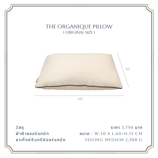 THE ORGANIQUE PILLOW
(ORIGINAL SIZE )