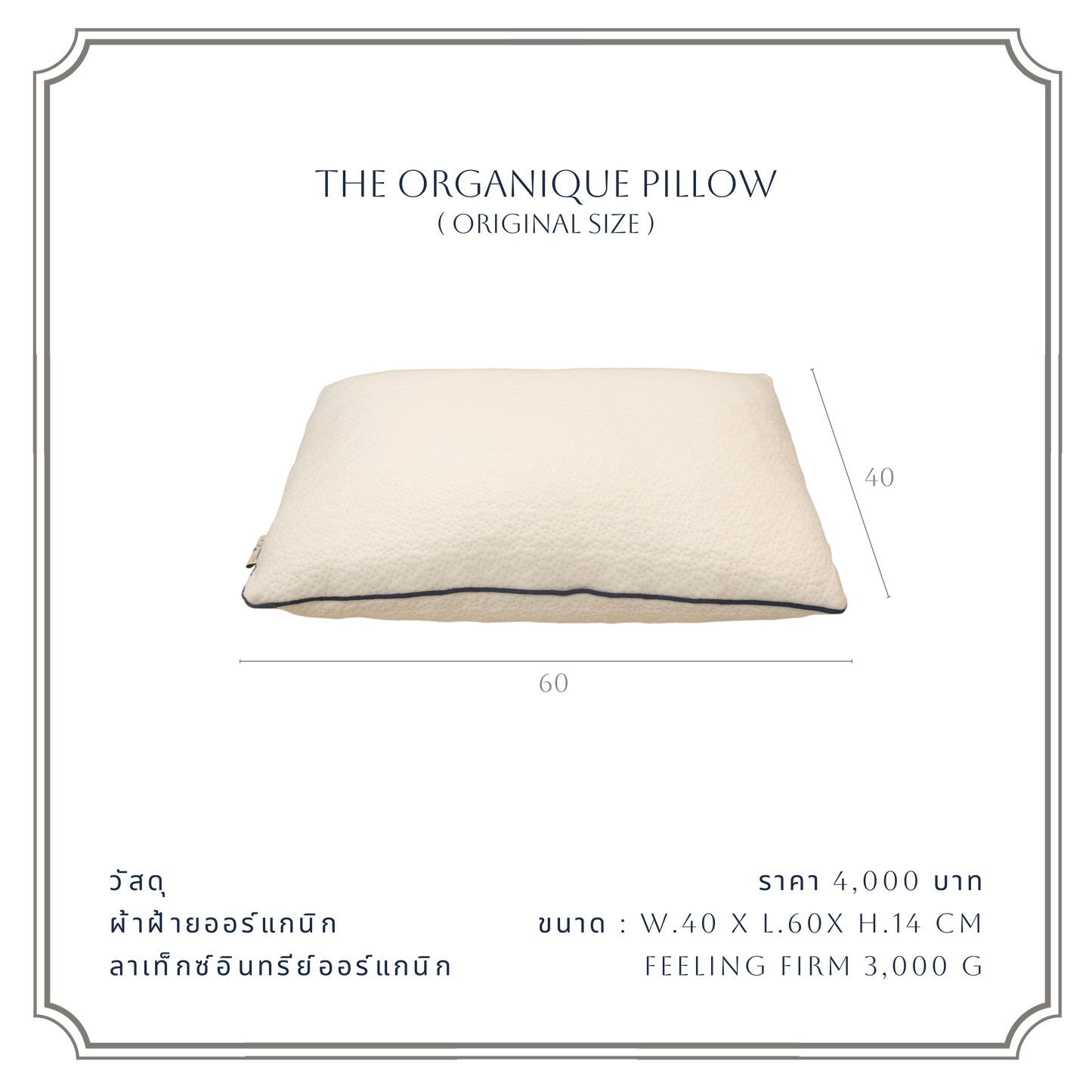 THE ORGANIQUE PILLOW
(ORIGINAL SIZE )